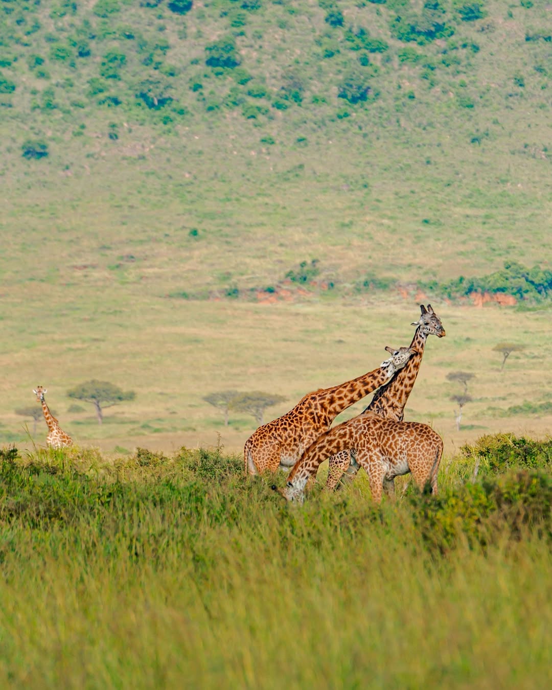 TOP 10 DESTINATIONS TO TRAVEL IN KENYA